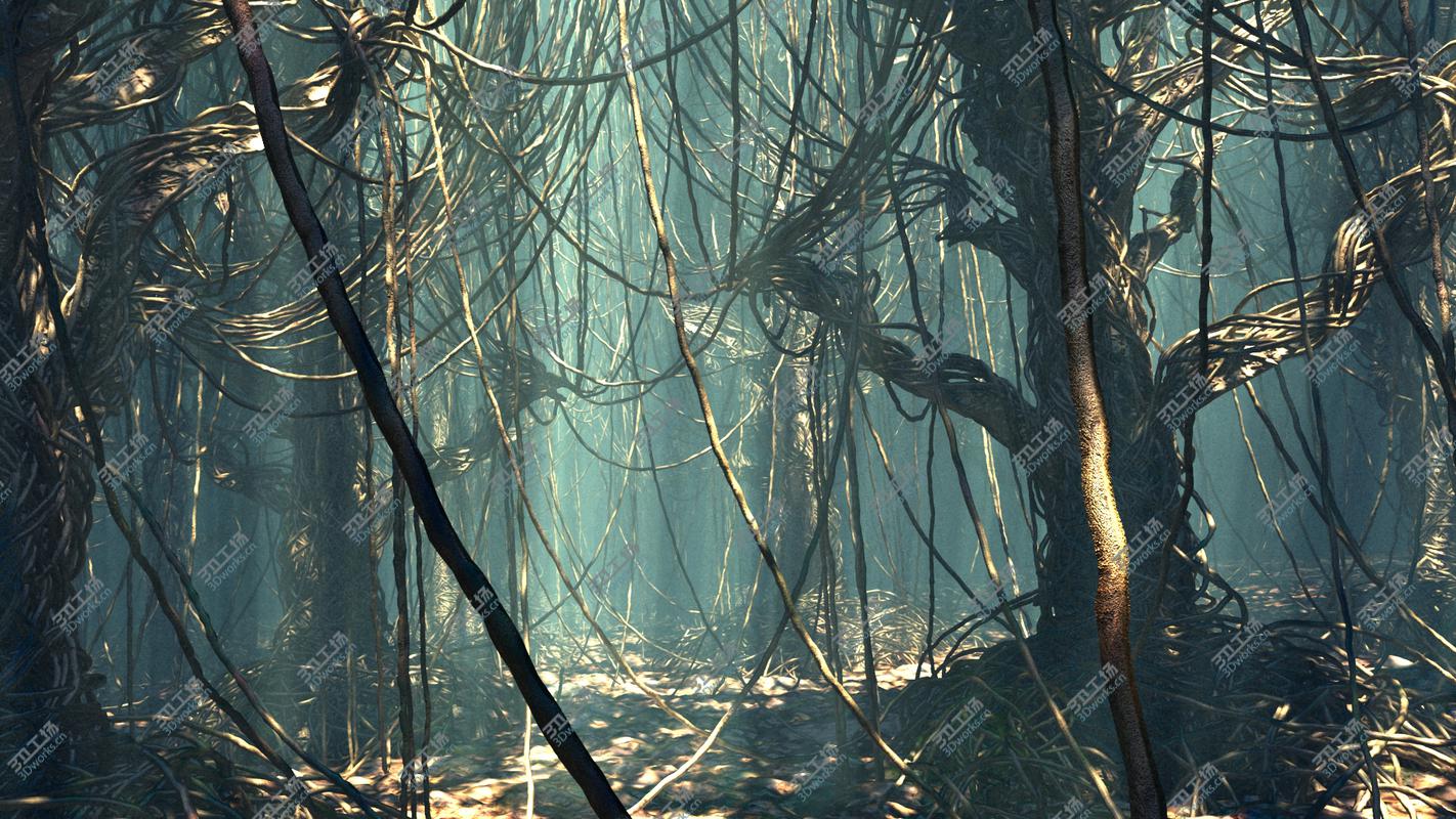 images/goods_img/2021040164/Ayahuasca Vines - Magical Forest/4.jpg